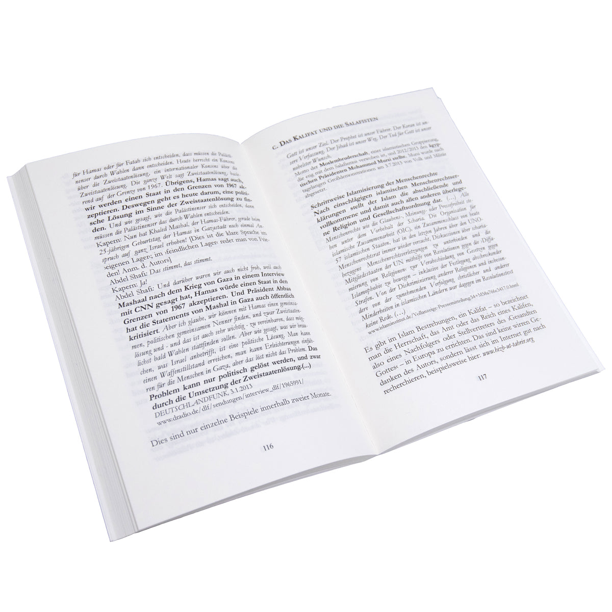 Israel, der Judenhass und das Schweigen der Welt - Gebetshaus Augsburg | Shop