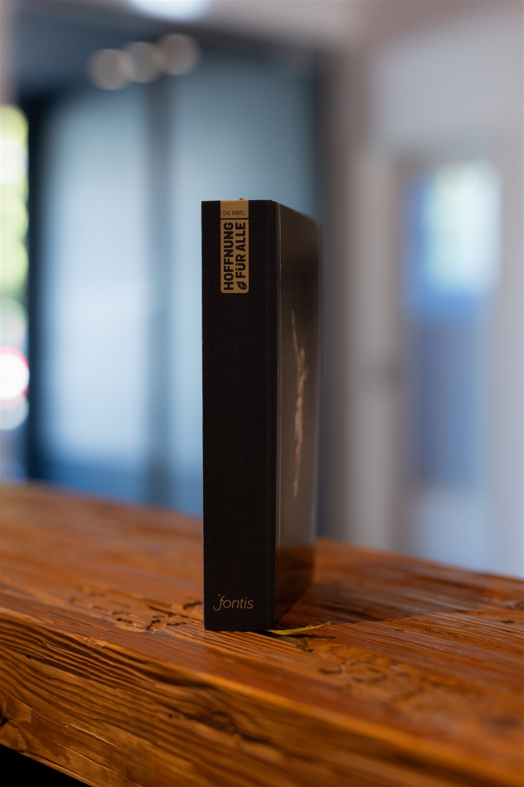 Vorbestellung: Hoffnung für alle. Die Bibel. Golden Jesus Edition (Deluxe-Ausgabe)