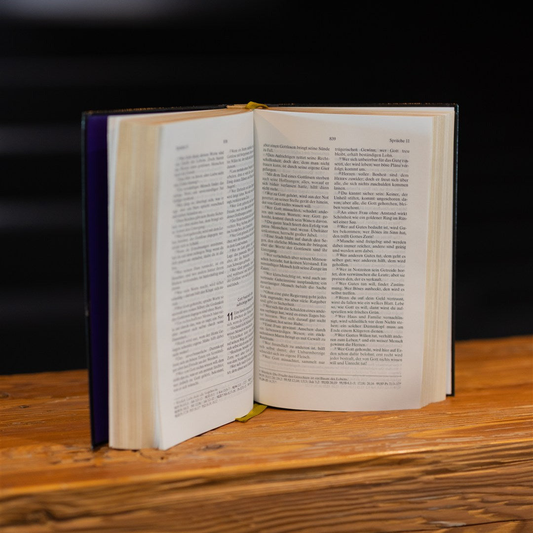 Vorbestellung: Hoffnung für alle. Die Bibel. Golden Jesus Edition (Deluxe-Ausgabe)