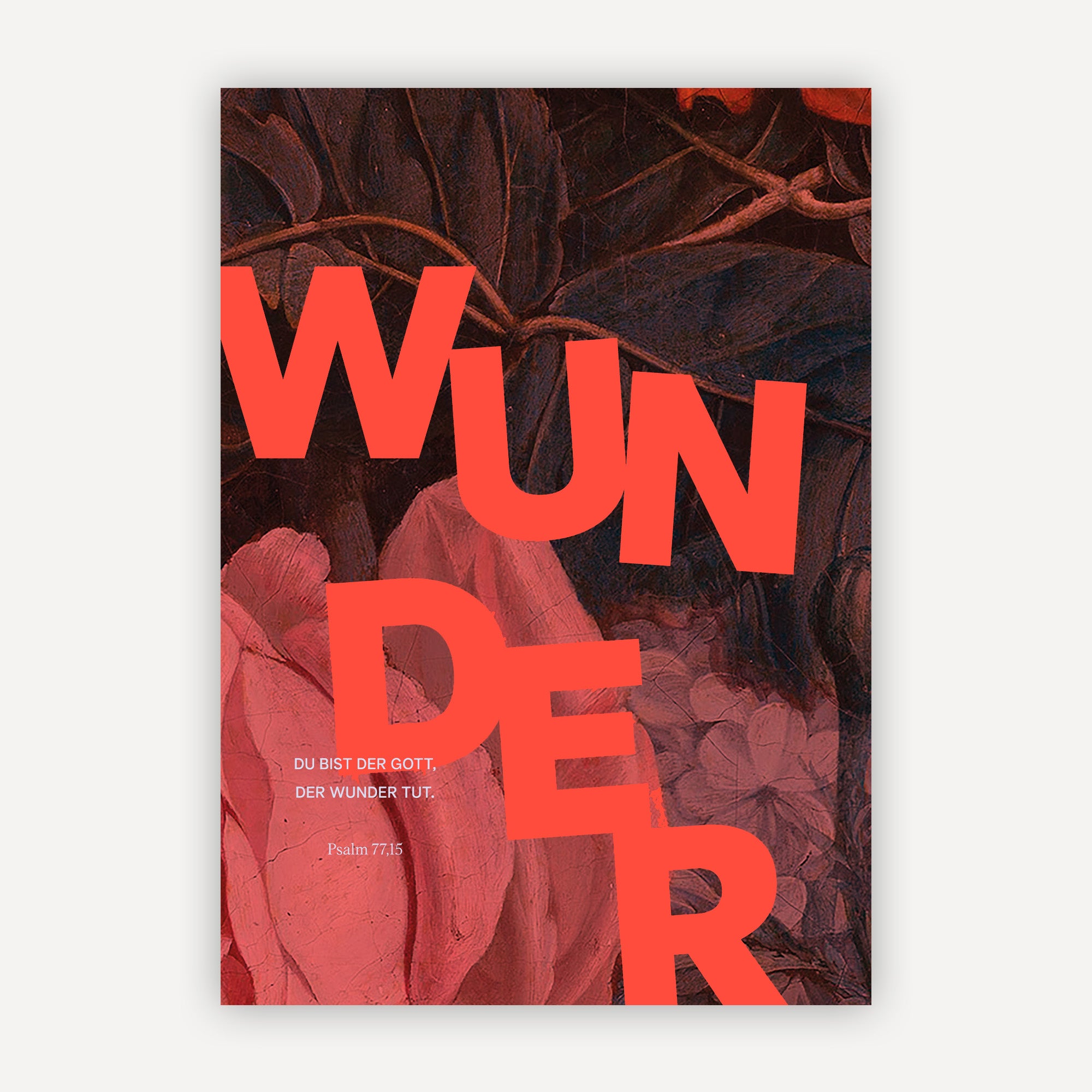 wunder-mockup.jpg