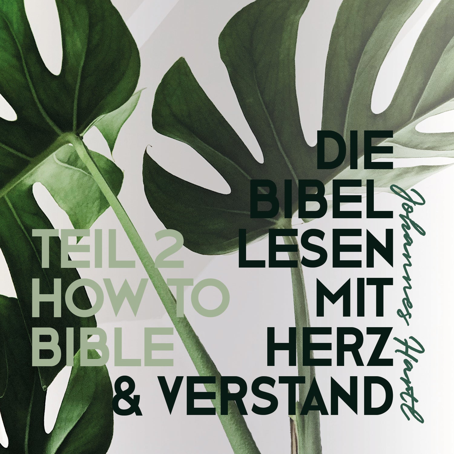 Die Bibel lesen mit Herz und Verstand | CD - Gebetshaus Augsburg | Shop